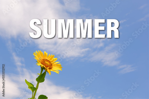 SUMMER - SUMMER word written in blue summer sky and yellow sunflower fields, Image of Summer
