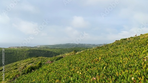 Verdant hills cascade into the horizon, whispering tales of Beltane reverie and Earth Days silent green embrace