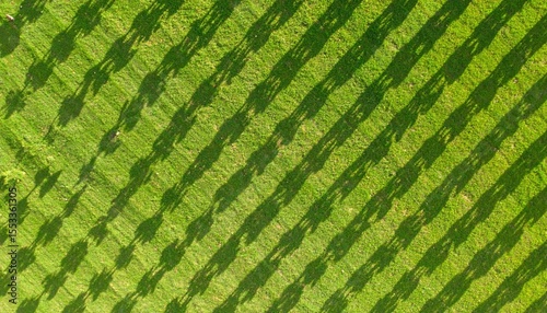 Abstract Pattern Of Shadows On Grass