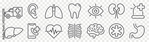 Human organs vector line icon. Medicine and health care icon.