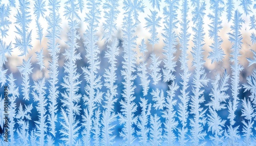 Detailed Frost Patterns On Frozen Window