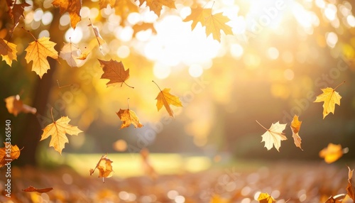 Autumn Leaves Falling In Sunlight