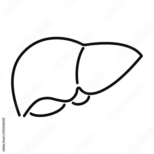 Human liver line vector icon