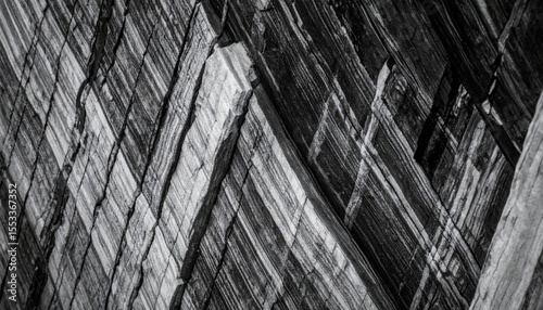 Abstract Black And White Textured Rock Face