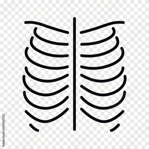 Human ribs line vector icon