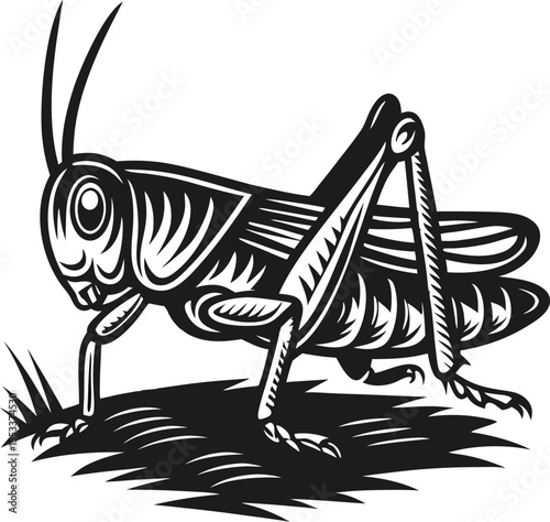 Detailed grasshopper illustration in black and white insect with segmented legs, antennae, and textured wings on ground
