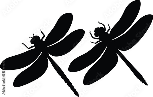 Dragonfly silhouette. Glyph icon of insect, simple shape of damselfly. Black vector illustration on white.