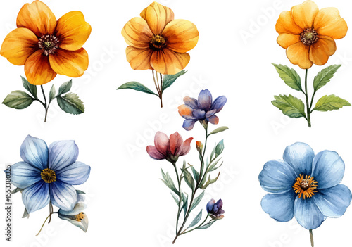 collection of flowers