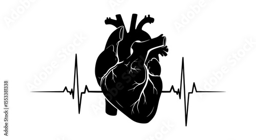 The Human Heart A Marvel of Biological Engineering And A Symbol Of Life's Vital Rhythm