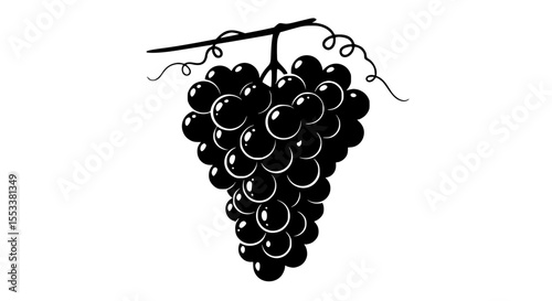 A Realistic Black Grape Cluster Hanging From a Vine With Tendrils and a Branch Showing the Detail of the Fruit and Plant Life