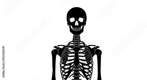 Anatomical Illustration of the Human Skeletal System Showcasing the Torso and Upper Body Structure in a Striking Black and White Design
