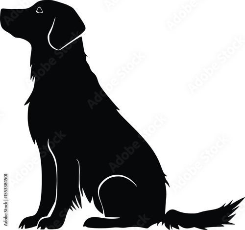 Elegant Black Silhouette: Loyal Golden Retriever Dog Sitting