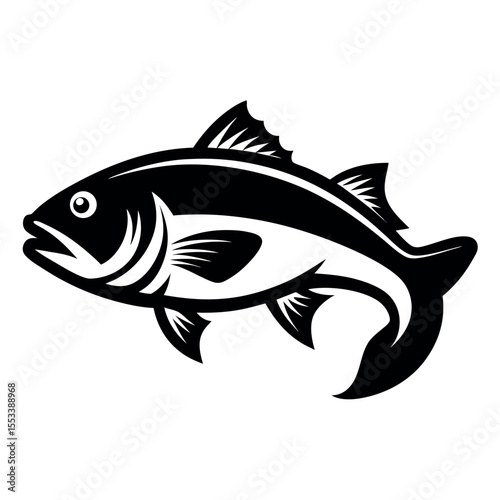 Black and White Illustration of a Fish with Detailed Fins and Body