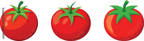 tomato vegetable vector illustration