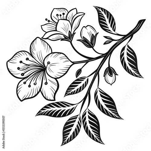 black and white flower