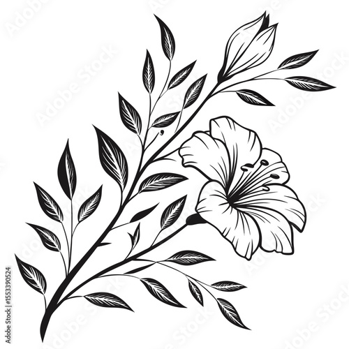 black and white flowers
