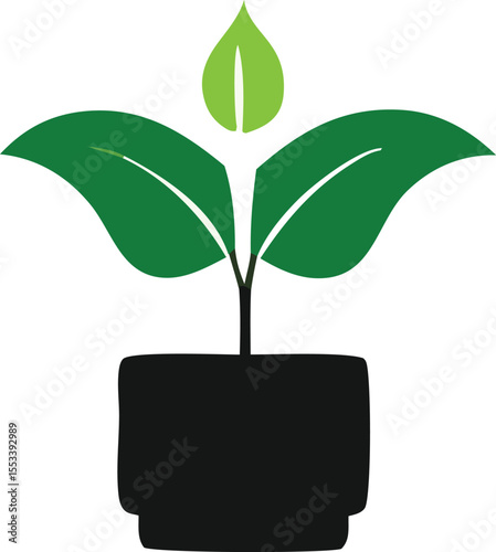 A stylized green seedling with two large leaves and a central sprout emerges from a simple black planter pot against a white background