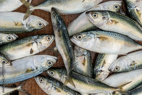 Fresh varieties of sea food meat like fishes, crabs, shrimp, prawns, squid, cuttlefish, octopus, sharks, dry fish, etc,. Selling at Chennai Kasimedu - the largest fish market place in south india.	