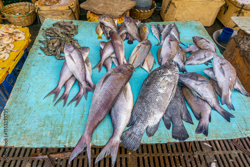 Fresh varieties of sea food meat like fishes, crabs, shrimp, prawns, squid, cuttlefish, octopus, sharks, dry fish, etc,. Selling at Chennai Kasimedu - the largest fish market place in south india.	