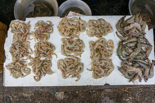 Fresh varieties of sea food meat like fishes, crabs, shrimp, prawns, squid, cuttlefish, octopus, sharks, dry fish, etc,. Selling at Chennai Kasimedu - the largest fish market place in south india.	