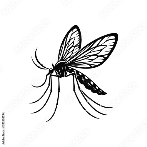 Detailed Black Mosquito Silhouette Vector Illustration with Long Legs and Patterned Wings Perfect for Science Biology Entomology and Mosquito Awareness Campaign Designs