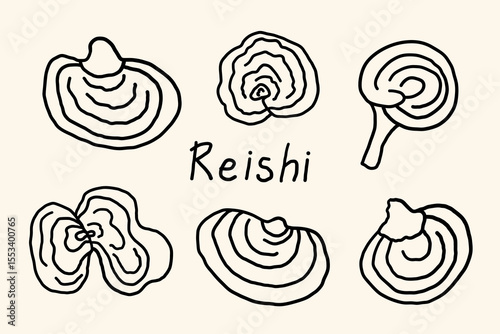 Set with Polypore varnished (Lingzhi ) Reishi mushrooms sketch on isolated background. Medical woody Chinese natural ingredient for alternative medicine, tea, cosmetics, spa. Design for logo, sign