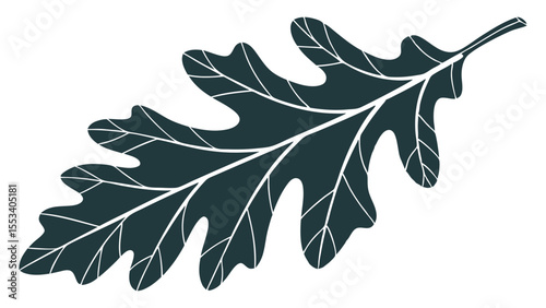 Stylized dark teal oak leaf with white veins on a white background