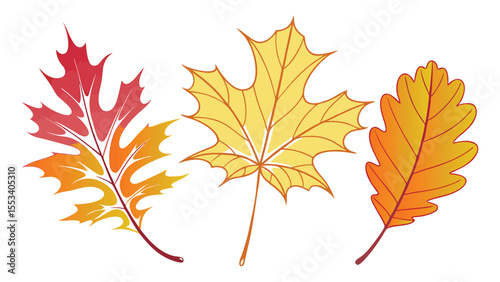 Three stylized autumn leaves in red orange and yellow with gradient colors and outlines on a white background
