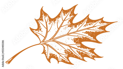 Stylized orange sycamore leaf with textured veins and a white background