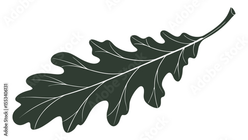Green oak leaf isolated on a white background