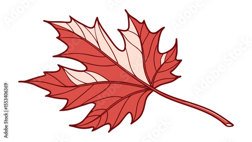 Vibrant red autumn maple leaf isolated on white, showcasing nature's colorful fall foliage