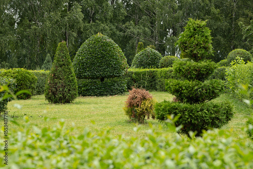 An expansive garden filled with beautifully sculpted hedges of various shapes, surrounded by lush greenery. The scene captures a tranquil atmosphere on a sunny day