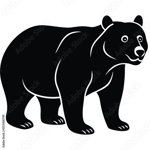 bear vector illustration