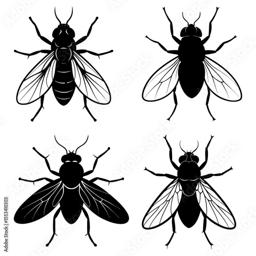 Four silhouette flies isolated on white background in graphic style