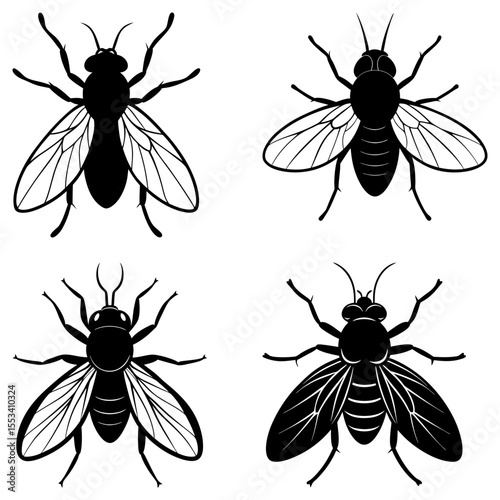 Four flies isolated on white background in a simple graphic design