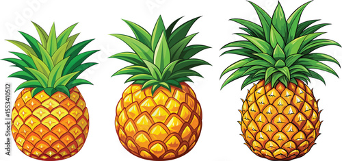 pineapple fruit set vector illustration