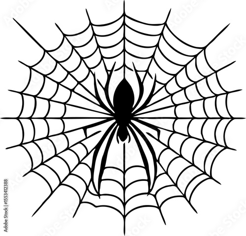 spider web silhouette vector illustration, isolated on white