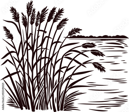 Black and white  illustration of wild reeds near calm water with distant shoreline on white background