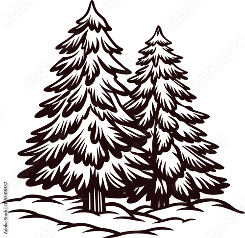 Hand drawn illustration of two snow covered pine trees in vintage engraving