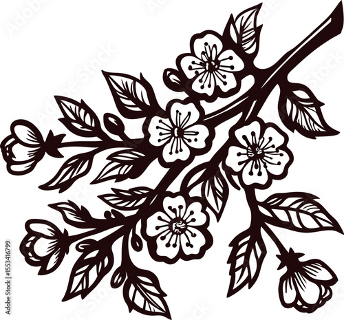 Intricate cherry blossom branch illustration with blooming flowers and buds in vintage hand drawn engraving