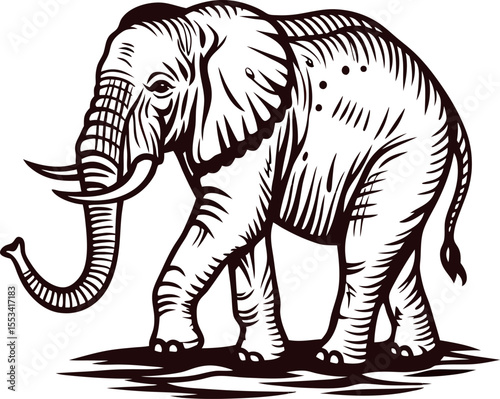 vintage engraved illustration of an african elephant walking with raised trunk on white background