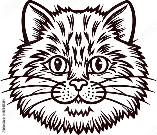 Hand drawn fluffy cat face illustration with detailed fur and expressive eyes, vintage engraving