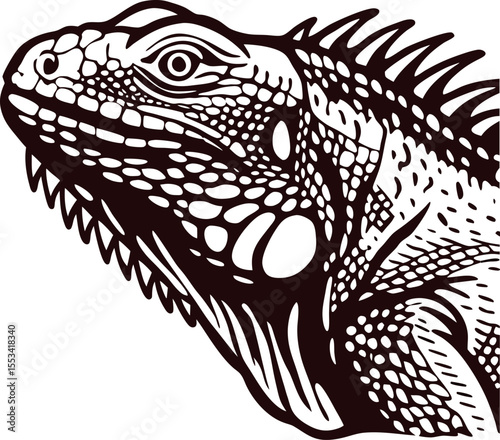 Detailed black and white illustration of an iguana head with textured scales and spiked crest in profile view