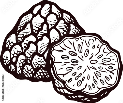 hand drawn illustration of whole and sliced soursop fruit isolated on white background