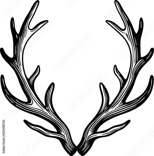 Hand drawn symmetrical deer antlers isolated on white background vintage engraved illustration design