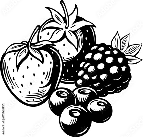 Black and white hand drawn illustration of strawberries raspberries and blueberries with vintage engraving details