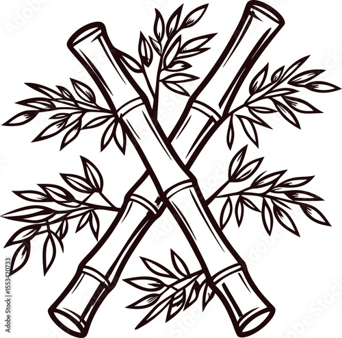 Hand drawn bamboo stalks with detailed leaves in vintage engraved sketch illustration
