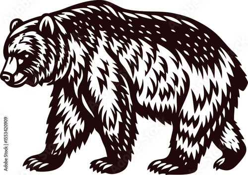 Walking grizzly bear illustration in vintage engraved black and white with textured fur