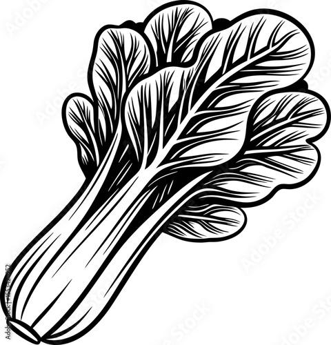 Hand drawn bok choy illustration isolated on white background vintage vegetable sketch in black and white line art