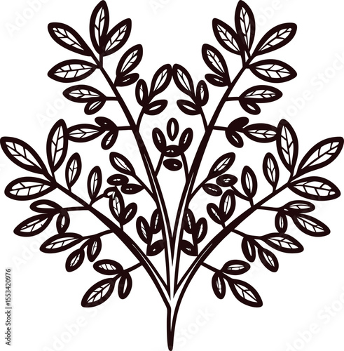 Hand drawn botanical branch sketch with multiple thin stems and decorative leaves isolated on white background